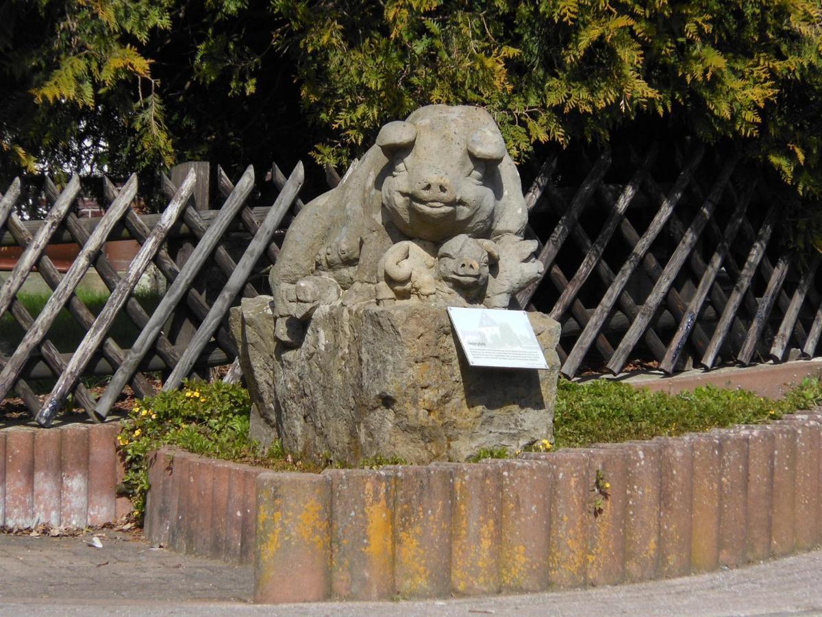 Westfalenhof Garni Willingen  Εξωτερικό φωτογραφία