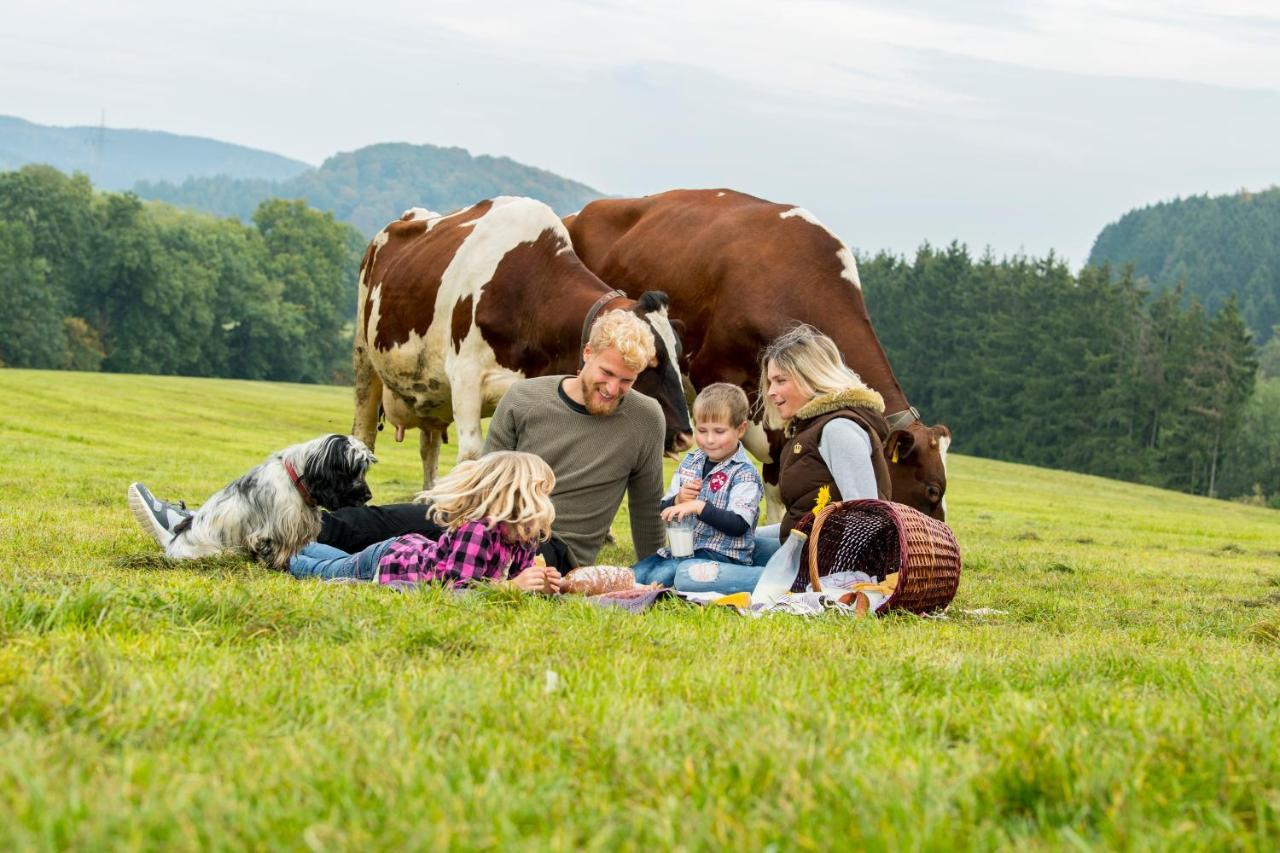 Westfalenhof Garni Willingen  Εξωτερικό φωτογραφία