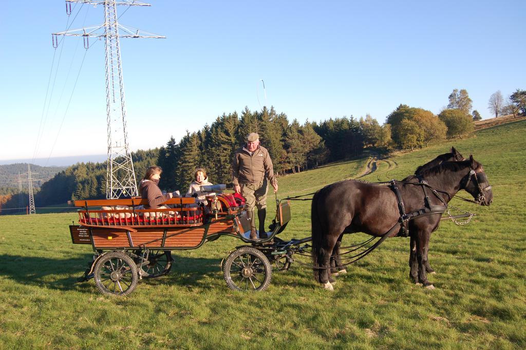 Westfalenhof Garni Willingen  Εξωτερικό φωτογραφία