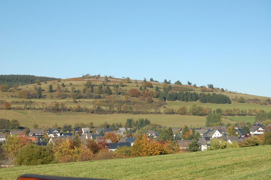 Westfalenhof Garni Willingen  Εξωτερικό φωτογραφία
