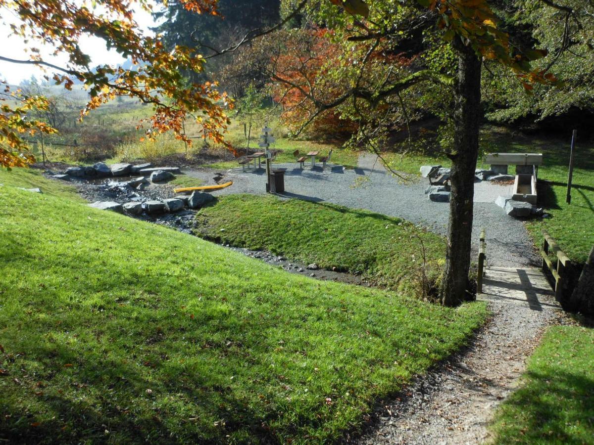 Westfalenhof Garni Willingen  Εξωτερικό φωτογραφία